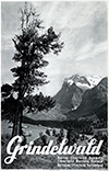 <h1>Ernst Henri Schudel (photo) </h1>Grindelwald<br /><b>511 | A- | Ernst Henri Schudel (photo)  - Grindelwald | € 400 - 750</b>