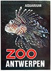 <h1> Hilde van Loock (1944-) & Victor Six (photo) </h1>ZOO Antwerpen (chameleon)<br /><b>215 | A- |  Hilde van Loock (1944-) & Victor Six (photo)  - ZOO Antwerpen (chameleon) | € 340 - 600</b>