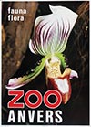 <h1> Hilde van Loock (1944-) & Victor Six (photo) </h1>ZOO Antwerpen (chameleon)<br /><b>215 | A- |  Hilde van Loock (1944-) & Victor Six (photo)  - ZOO Antwerpen (chameleon) | € 340 - 600</b>