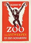 <h1>L. Geurts </h1>Visitez le ZOO D'Anvers (young chimpanzee)<br /><b>219 | A-/B+ | L. Geurts  - Visitez le ZOO D'Anvers (young chimpanzee) | € 140 - 300</b>
