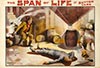 <h1> Anonymous </h1>Convolute of posters for Sutton Vane's The Span of Life<br /><b>367 | B+ |  Anonymous  - Convolute of posters for Sutton Vane's The Span of Life | € 180 - 220</b>