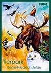 <h1>Reiner Zieger (1939-)</h1>50 Jahre Tierpark Berlin-Friedrichsfelde<br /><b>513 | A- | Reiner Zieger (1939-) - 50 Jahre Tierpark Berlin-Friedrichsfelde | € 80 - 120</b>