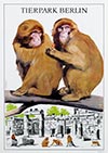 <h1>K. Rietschel </h1>Tierpark Berlin (krokodil)<br /><b>520 | A- | K. Rietschel  - Tierpark Berlin (krokodil) | € 200 - 260</b>