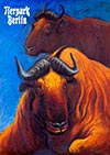 <h1>Reiner Zieger (1939-)</h1>Tierpark Berlin (rhino)<br /><b>521 | A- | Reiner Zieger (1939-) - Tierpark Berlin (rhino) | € 320 - 600</b>