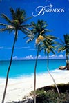 <h1> Anonymous </h1>Barbados Just Married<br /><b>551 | A-/B+ |  Anonymous  - Barbados Just Married | &euro; 80 - 140</b>